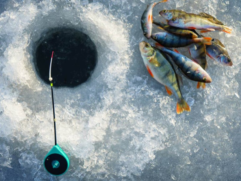 Ice fishing gambling - Evolution of Ice Fishing in the UK: Online Casino Revolution Ice fishing gambling - Evolution of Ice Fishing in the UK: Online Casino Revolution